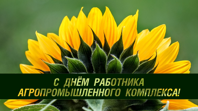 С Днём работника сельского хозяйства и перерабатывающей промышленности!
